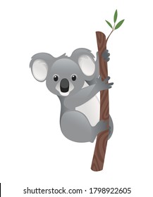 1,299 Koala holding tree Images, Stock Photos & Vectors | Shutterstock