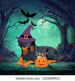 Cute Halloween Rottweiler Dog With   Halloween Treats. Spooky, Scary Halloween Night And Full Moon