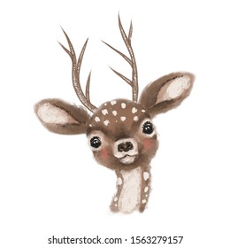 Cute Hand Drawn Deer, Fawn, Woodland Watercolor Animal Portrait