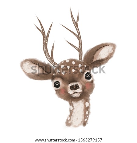 Cute hand drawn deer, fawn, woodland watercolor animal portrait