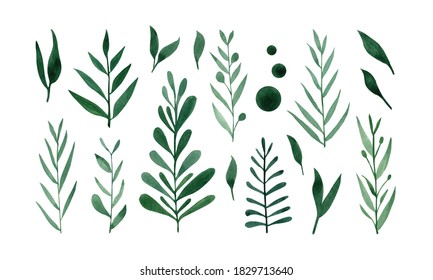 Cute hand drawn forest leaves and branch set. Watercolor illustration leaves for wedding decoration and arrangements.