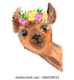Cute hand drawn llama with a wreath of flowers. Bouquet of flowers. Woolen Alpaca from Mexico. Travel. For projects, baby showers, wedding invitations, cards, posters and more.