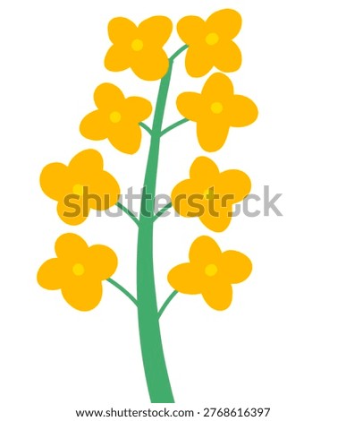 Cute hand-drawn flower illustrations in flat vector style