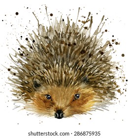 Watercolor Hedgehog Images, Stock Photos & Vectors | Shutterstock