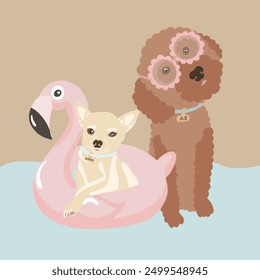 A cute illustration featuring a Chihuahua sitting in a pink flamingo float and a brown poodle wearing glasses beside it. The background is a soft beige color, creating a playful and whimsical scene. - Powered by Shutterstock