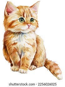 cute kitten hand drawing  red cat an isolated white background  watercolor illustration