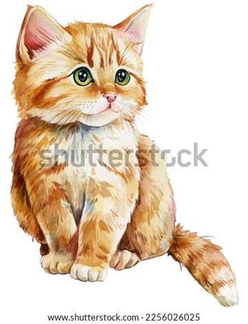 cute kitten hand drawing, red cat on an isolated white background. watercolor illustration