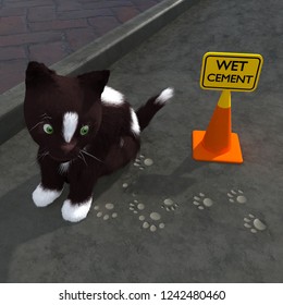 A Cute Kitten Sitting Near A Wet Cement Sign After Walking Through The Wet Cement.