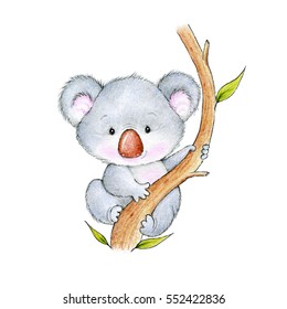 Cute Koala Bear