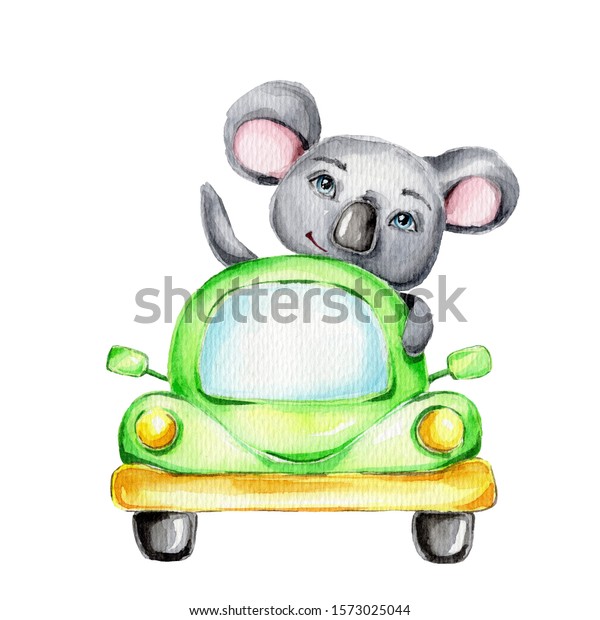 Cute koala driving in green cartoon\
car; watercolor hand draw illustration; can be used for kid\'s\
poster or cards; with white isolated\
background