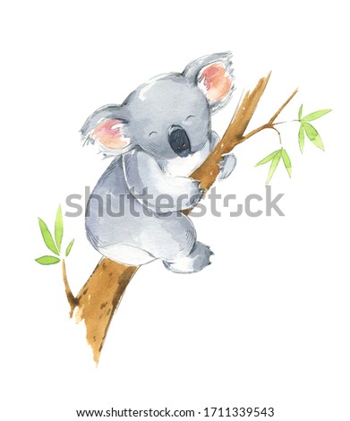 Cute koala sitting in a tree, watercolor illustration 
