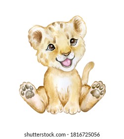 Cute lion cub isolated on white background. Lion baby. African animals. Safari. Illustration. Template. Hand drawn. Greeting card design. Clip art.
