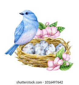 Cute Little Blue Bird With Nest And Blue Eggs. Watercolor Illustration. Cute Animals And Birds. Spring Symbol. Happy Easter. Blue Luck Bird