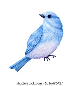 Cute little blue bird. Watercolor illustration. Cute animals and birds. Spring symbol. Happy Easter. Blue luck bird