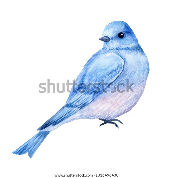 Cute Little Blue Bird Watercolor Illustration Stock Illustration