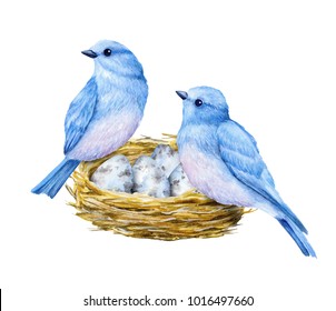 Cute Little Blue Birds With Nest And Blue Eggs. Watercolor Illustration. Cute Animals And Birds. Spring Symbol. Happy Easter. Blue Luck Bird