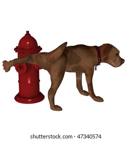 why do dogs like to pee on fire hydrants