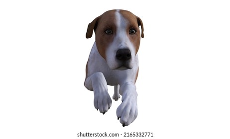 13,098 Puppies 3d Images, Stock Photos & Vectors | Shutterstock