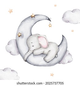 Cute little elephant sleeps on the moon; watercolor hand drawn illustrationl with white isolated background