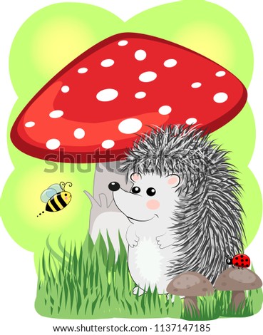 Similar – Image, Stock Photo The fly agaric Environment