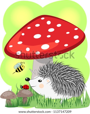 Similar – Image, Stock Photo The fly agaric Environment