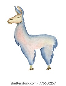 Cute Llama cartoon character watercolor illustration, Alpaca animal, hand drawn style.  Isolated white background. Good for greeting cards, invitations, decoration, etc.