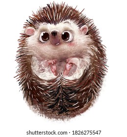 Cute Lovely Little Hedgehog Character