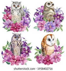 Cute owl   Flowers an isolated white background  Watercolor illustration  Set and an owl  