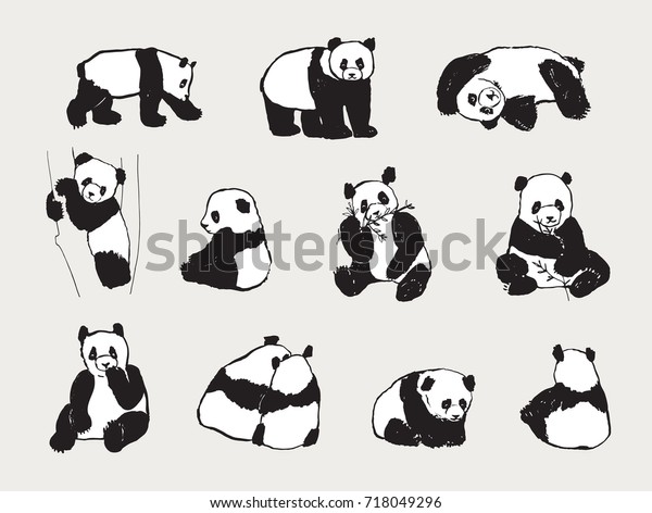 Cute Panda Bear Illustrations Collection Hand Stock Illustration 718049296