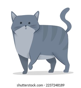 cute pet cat character illustration 