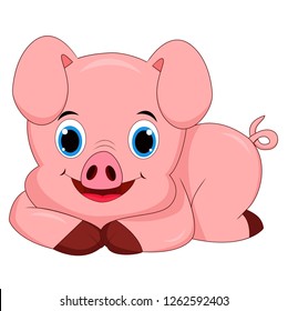 Cute Pig Cartoon