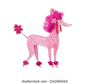 Cute pink cartoon poodle hand drawing in watercolor. Adorable smiling dog puppy fluffy character ideal for prints, posters, nursery decoration. Domestic beautiful girlish pet.