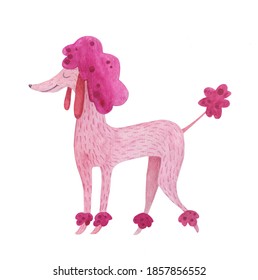 Cute Pink Poodle Hand Drawing In Watercolor. Adorable Smiling Dog Puppy Fluffy Character Ideal For Prints, Posters, Nursery Decoration. Domestic Beautiful Girlish Pet.