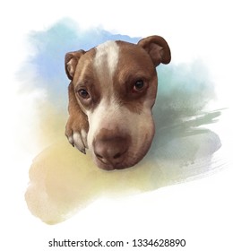 Pit Bull Watercolor Images Stock Photos Vectors Shutterstock