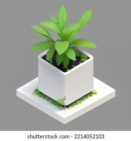 Cute Plant Pot 3D Rendering Isometric Low Popy