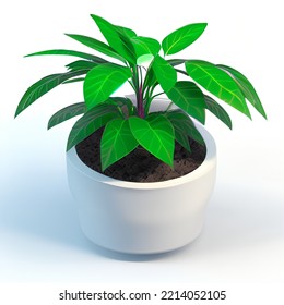 Cute Plant Pot 3D Rendering Isometric Low Popy