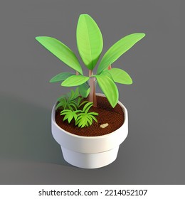 Cute Plant Pot 3D Rendering Isometric Low Popy