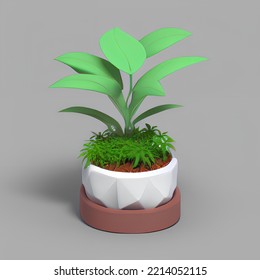 Cute Plant Pot 3D Rendering Isometric Low Popy