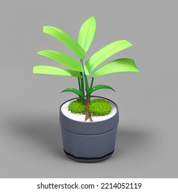 Cute Plant Pot 3D Rendering Isometric Low Popy