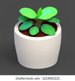 Cute Plant Pot 3D Rendering Isometric Low Popy