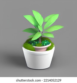 Cute Plant Pot 3D Rendering Isometric Low Popy