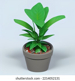 Cute Plant Pot 3D Rendering Isometric Low Popy