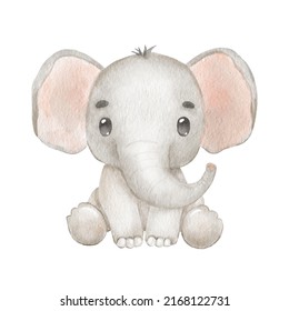 Cute portraits elephant in cartoon style  Drawing african baby wild animal isolated white background  Jungle animal is sitting