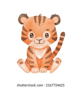 Cute portraits tiger in cartoon style  Drawing african baby wild cat isolated white background  Jungle animal is sitting