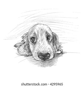 Cute puppy sketch - Powered by Shutterstock