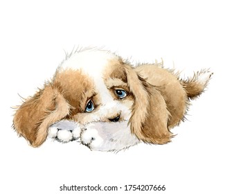 Cute Puppy Watercolor Illustration. Cartoon Dog.
