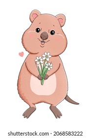 Cute quokka with flowers for postcards