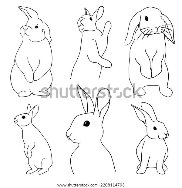 Cute Rabbit Line Art Set Bunny Stock Illustration 2208114703 | Shutterstock