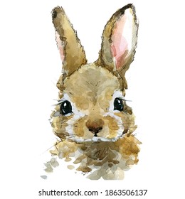 Illustrated Rabbit Hd Stock Images Shutterstock