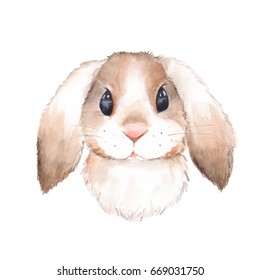 Cute rabbit. Watercolor illustration . Isolated on white background